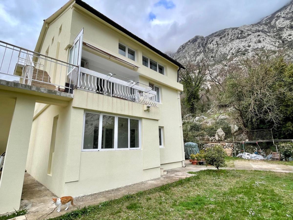Apartments Lav Kotor Dış mekan fotoğraf